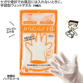 �y�݌Ɍ���z���炾�ӂ���܁i�������j10���� ��܌^ �̐@�� �E�F�b�g�^�I�� �P�K ���� �Q������ ���