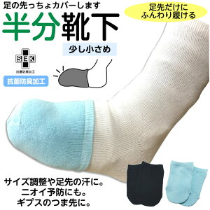 m1i2jn̕pC RۖhL S13cm qȆɁIMvX ܐp MuXJo[ MuXpC ̐p ܐ̗₦p 2d 悾̌C Y fB