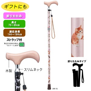  veBLbc AN-14 Cg[ ܂肽 A~ y lR L 킢  ̓ L̃fUC hV̓