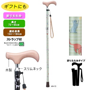  veBLbc AN-13 CgO[ ܂肽 A~ y lR L 킢  ̓ L̃fUC hV̓