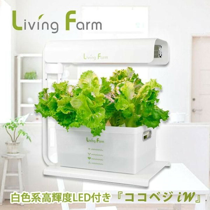 楽天市場】【送料無料】リビングファーム特許 水耕栽培キット 高輝度 
