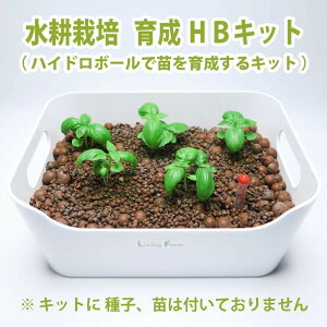 yzrOt@[k͔| nChLbg ؂ n[u nCh{[琬 HBLbgiȂAcȂj n[u ~g o[ oW P[ 琬͔|Lbg 
