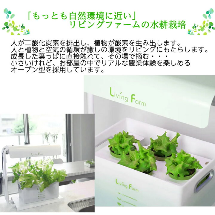 楽天市場】【送料無料】リビングファーム特許 水耕栽培キット 高輝度 
