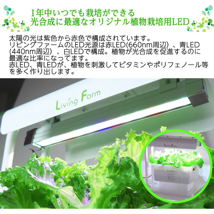 楽天市場】【送料無料】リビングファーム特許 水耕栽培キット 高輝度 