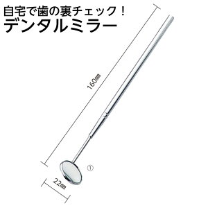 ���� ���a22cm×������16cm �f���^���~���[ ���C�`�F�b�N