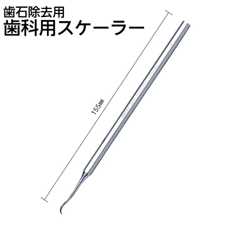 楽天市場】歯科用スケーラー サイズ：155mm デンタルスケーラー 歯石 