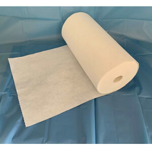 ĝăoX^Ii[^Cvj [J[iԁFMZT037