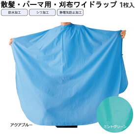 楽天市場 ケープ 医薬品 コンタクト 介護 の通販