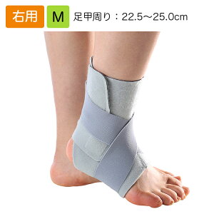 ANCg Ep KiFM Kṕ͈ibjF22.5`25.0cm iԁF14632  Ԃ T|[^[  Œ 