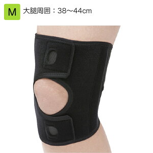 t@VGChT|[^[ GV[g TCYFM Kṕ͈iڎ́jF38`44cm iԁF302402