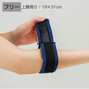 | G{[MA KiFt[ iԁF037631irjF19×31cm ejXI Ђ̒ɂ Œ T|[^[ oh ejXЂ