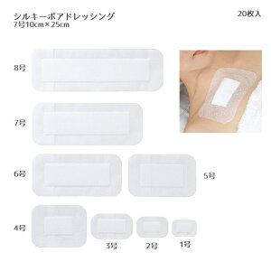 APA VL[|AhbVOi7j 12006i20j EOGŋۍ ʈË@ npShbVO bV h hbVOe[v nی