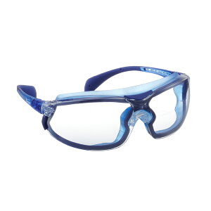 N[K[hی߂ V20GrWPRO 67670 u[ ĝ \h یዾ ×p