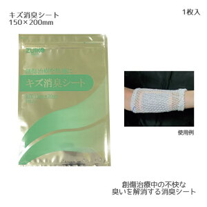 fBJ LYLV[g ZAFI 15cm×20cm 1 Zot ɂ