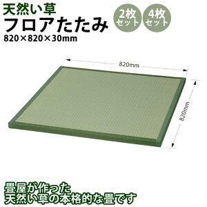 (9134-4321)ʕIWi tA 820×820×30mm VR ʊ~߉H   R[i[ u jbg t[O }bg