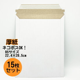 使い切り少量！厚紙封筒 B5サイズ 角3・角形3号 ビジネスレターケース 開封ジッパー付 両面テープ付 (15枚セット) ネコポスサイズ クリックポスト ゆうパケット ボール紙 ケース 封筒