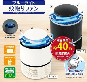 O[oWp u[Cg t@ ubN/zCg  ߒ É L z   AEghA O Lv AQ Â