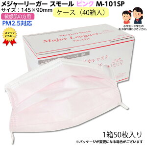 yP[X40zpfBJKi qpW[[K[}XN M-101sp X[ 145×90mm sN PM2.5ΉIqp LbY BFEAPFEƂ99%̍\tB^[