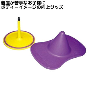 rW[bO vX`bN ʊ~߃St ω׏d113kg  Ȃ qp wZ ƂĂȂ oX{[h {fB[C[W
