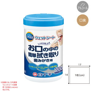 EFbgV[g {g^Cv100 ^ԁF46396 eBbV p ĝ lߑ։\ EFbgV[g