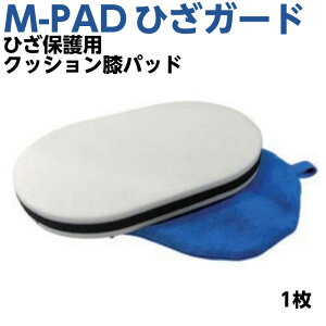 Ђpgь^pbh M-PAD ЂK[hiEpAjpj1 ĂЂ Ђ ی NbV G pbh GT|[^[ G lH֐ p  W}[oCIbg