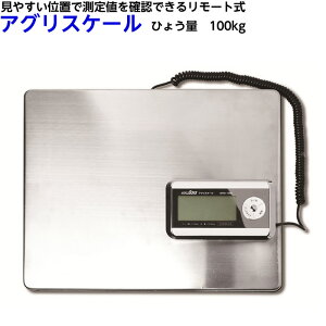XR[L WORLD BOSS fW^͂ AOXP[ [g iԁFDRS-100 XeX d v v v  XP[