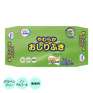 GA ΂ 炩ӂ/480181 70  r ނ