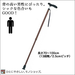 ylւ̃v[gɁz ȘaXebL LkaII ^ԁFCMS-12 @RۃObvi70`100cmF13iKj Lk^Cv jp W1612