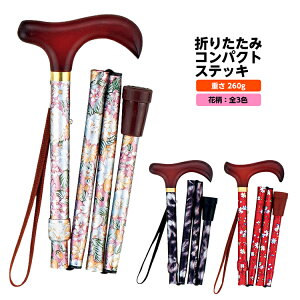 ܂肽݃RpNgXebL ԕ 70`80cmi5iK^2.5cmj ȏ XebL Vv hV̓ ̓ Mtg w1105