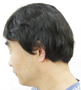 l100% ёiZbgwig capv[g yzy@jpzyl100zylсzy×pΉzy×pzyl100zyjp@l100