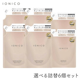 イオニコ IONICO ダメージケアシャンプートリートメント モイスト＆リペア 選べる詰替6個セット ビジナル マイナスイオン サロン品質