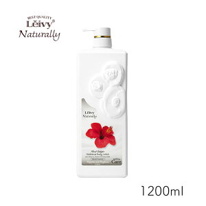 CB[ fBAX {fBVv[ nCrXJX 1200ml 1 ANVX {fBEHbV q M S[g~N