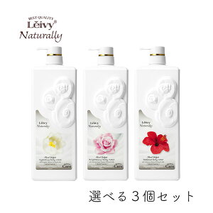 ANVX CB[ fBAX{fBVv[ 1200ml Iׂ3Zbg ANVX {fBEHbV q M S[g~N