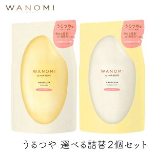 wAVs a̎  Vv[ & g[gg lփZbg 300ml 1Zbg P&G HAIR RECIPE Ăʂ e IC mVRVv[