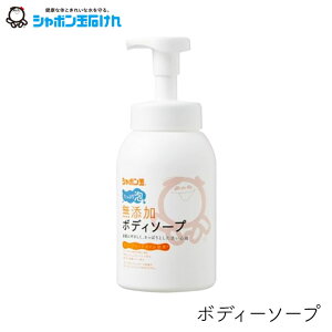 V{ Y {fB\[v ՂA { 570ml 1 V{ʔ̔ A  F q  q  ΂