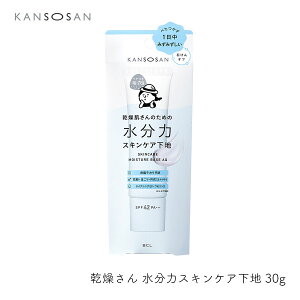 X^COBCL  ̓XLPAn 30g  ێ ь΍ x^΍ ݂݂ 邨 KANSOSAN