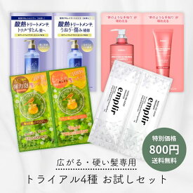 【広がる髪にゆとりを】 美容スタッフ厳選 シャンプー＆トリートメント 4種お試しセット 剛毛 うねり 多毛 まとまり アソート ハニープラス トゥルースト 酸熱 MDアンプリール クンダル トライアル パウチ