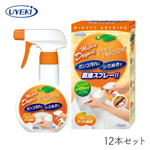 y111~N[|zz9/30܂Łz }CeBhCjO UYEKI Xv[^Cv 250mL {×12{Zbg    ȒP IWIC V~ CVc VR E[  V
