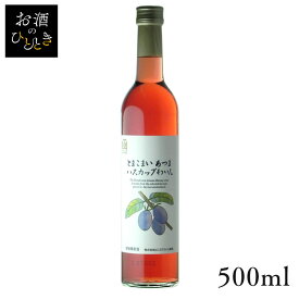 はこだて とまこまいハスカップわいん 500ml ワイン 国産 日本 プレゼント ギフト 珍しい 函館 北海道 ハスカップ 苫小牧 はこだてわいん 【TD】 【代引不可】