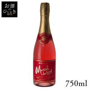 C }XJbg x[[A Xp[N[ 750ml C Y { v[g Mtg   Ci[ Xp[NOC [C yTDz ysz