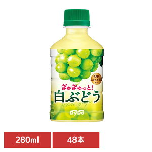 _Ch[ PET ʏ` ガƁIԂǂ×48{ _Ch[ PET ʏ` Ԃǂ Ԃǂ ql W[ PET ^ ݐ؂TCY _Ch[hR