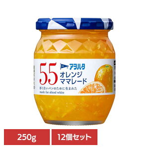 y12Zbgz55 IW}}[h 250G W IW ʎ AIn^ r 55 250g }[}[h }[}[hW t[c An^