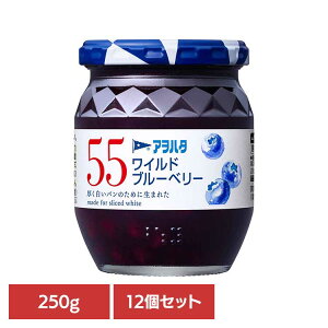 y12Zbgz55 Chu[x[ 250G W u[x[ ʎ AIn^ r 55 250g t[c ʕ An^