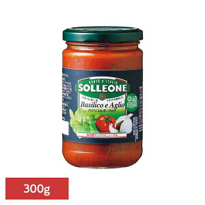 g}g\[XEoWRK[bN 1300420g}g\[X C^A ȒP pX^ sU JS P`bv fe pX^\[X ۑH 