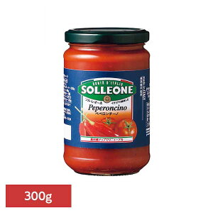 g}g\[XEyy`[m 1300421g}g\[X C^A ȒP pX^ sU JS P`bv fe pX^\[X ۑH 