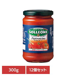 y12zg}g\[XEyy`[m g}g\[X C^A ȒP pX^ sU JS P`bv fe pX^\[X ۑH 