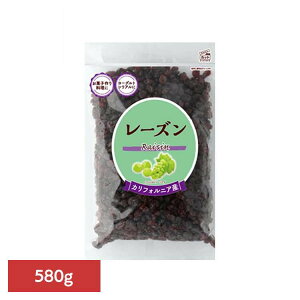 Hi@[Yp 580g[Y hCt[c َq p T_ [Og VA gbsO JtHjA  Hi