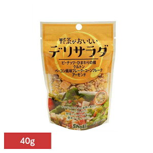 ؂fT_ hHi Shoei  gbsO T_ ibc V[h  f 