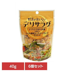 y6z؂fT_ hHi Shoei  gbsO T_ ibc V[h  f 