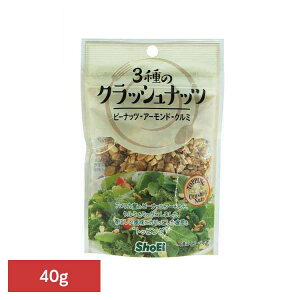 3̃NbVibc hHi Shoei  gbsO T_ ibc NbV 3 ̂܂ 